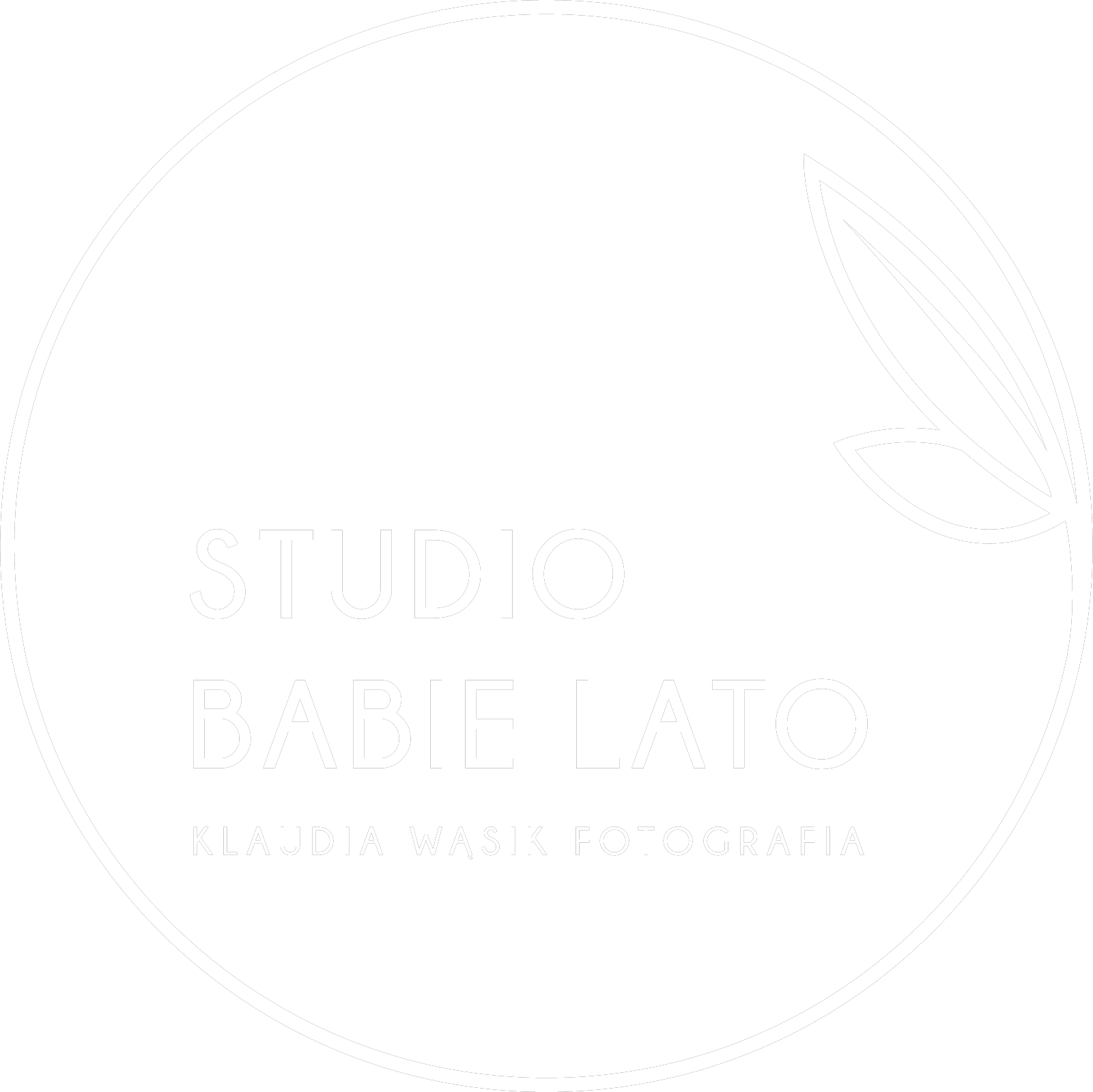Studio Babie Lato - Fotografia Ślubna Kraków